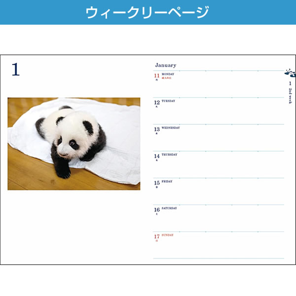 グリーティングライフ 2027年 ダイアリー 手帳 B6 パンダ ベージュ CD