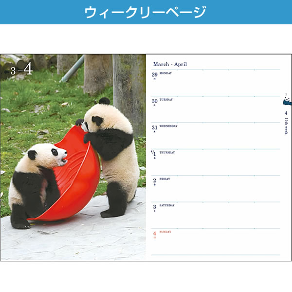 グリーティングライフ 2027年 ダイアリー 手帳 B6 パンダ ベージュ CD