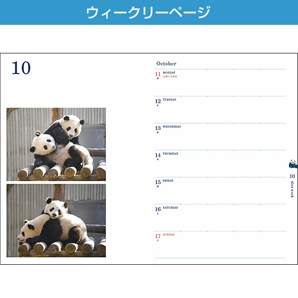 グリーティングライフ 2027年 ダイアリー 手帳 B6 パンダ ピンク CD