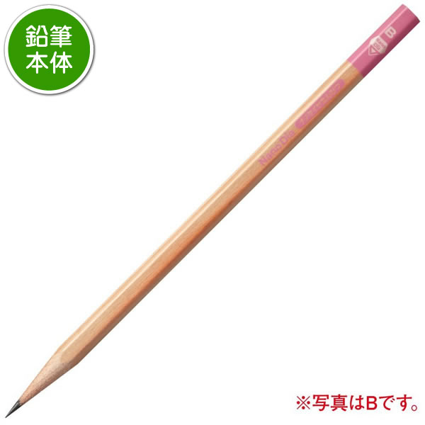 三菱鉛筆 鉛筆2ダース（24本）と金箔押し名入れのセット品 ナノダイヤ