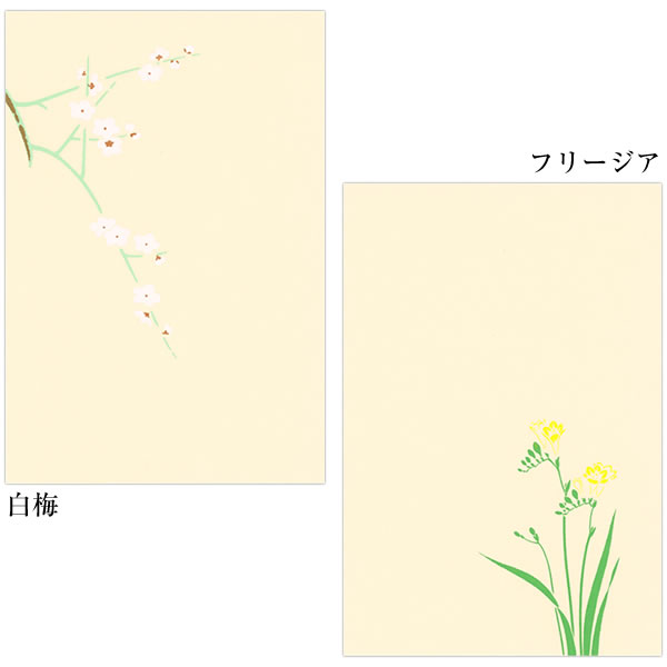 鳩居堂 はがき 季節の商品一覧 通販 - Yahoo!ショッピング