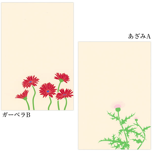 Amazon | 鳩居堂 夏のはがき 14枚セット（14柄） kyu-129