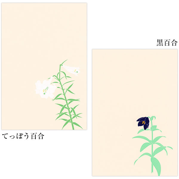 鳩居堂 夏のはがき 9枚セット（9柄） kyu-146 ライラック 百合