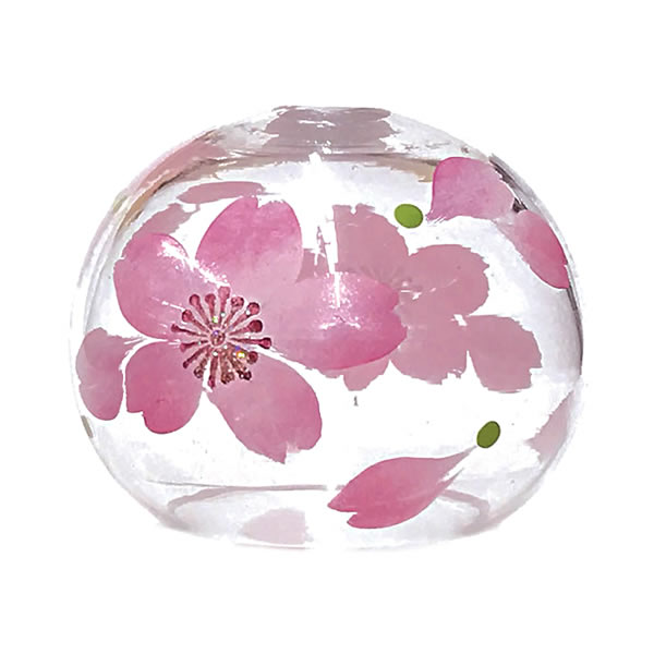専用❤️速達付き同梱-250円　オフタルモフィルム 大型 紅風鈴玉 鉢のまま 楽天市場】!ラスト1台!【送料無料 関東から関西まで】ミズタニ