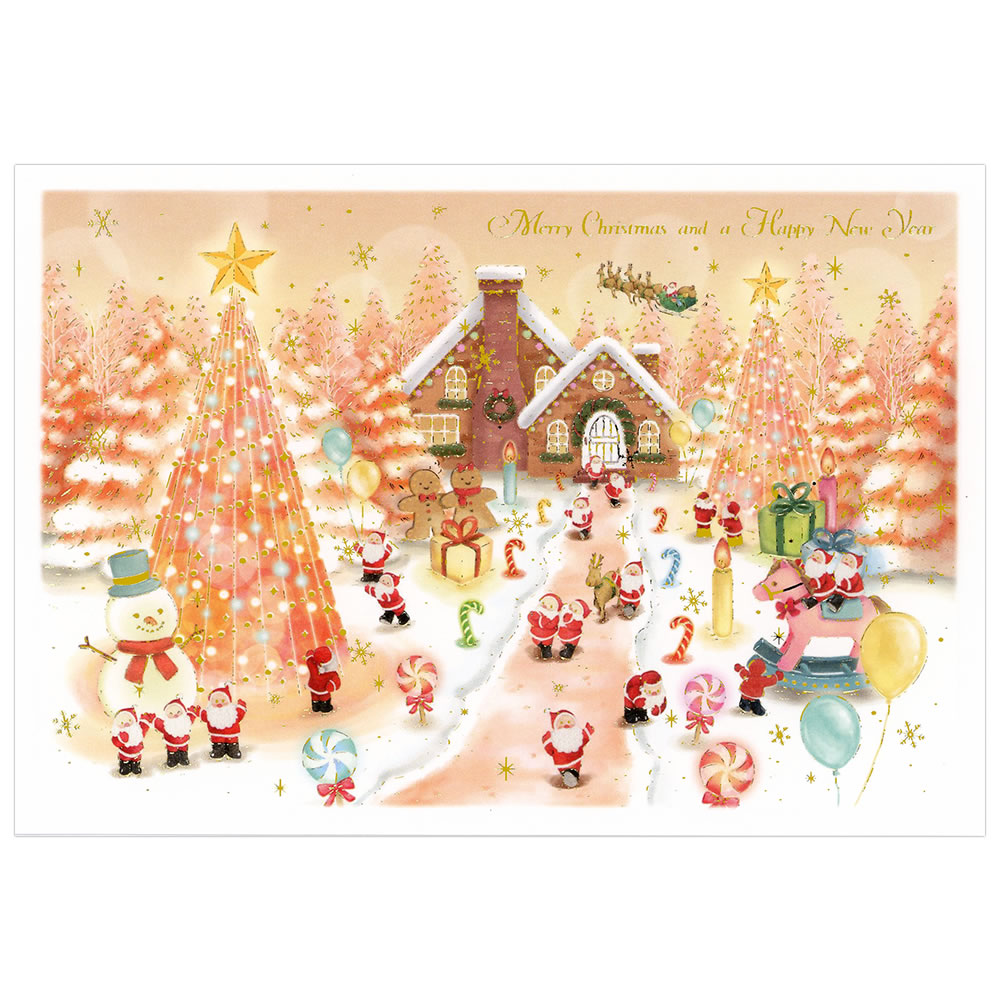 グリーティングライフ クリスマスカード 洋風 ミニサンタカード S-425