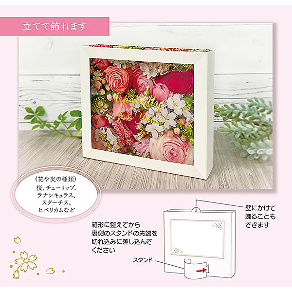 sanrio 春カード（多目的） フラワーボックス桜 S1305 立体