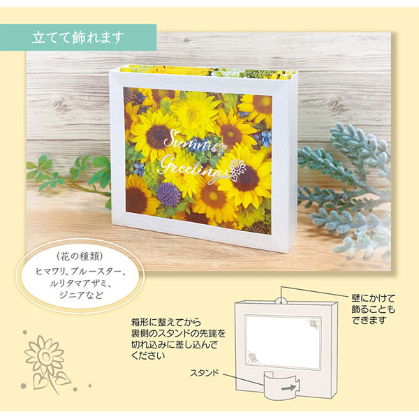 sanrio（サンリオ） サマーカード ヒマワリフラワーボックス S4089