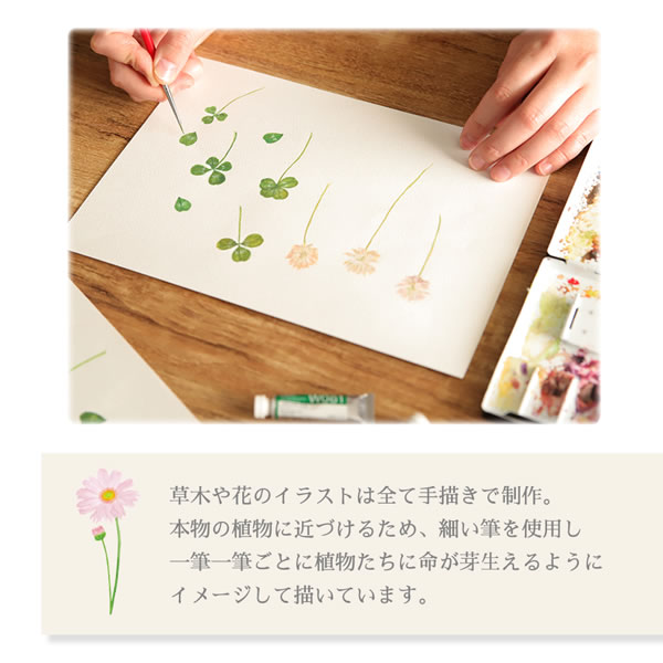 草木花 （ソウモッカ） 押し花のレターセット ハーブ SMLS-04 (15