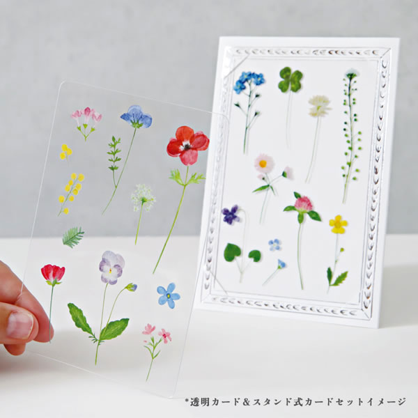 草木花 （ソウモッカ） 押し花の透明カード 多目的 ガーデン SMTC-01