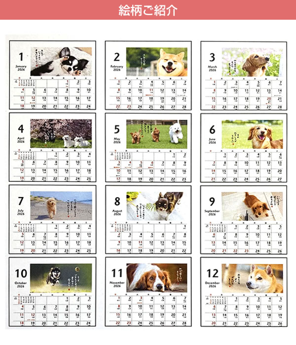 オーダー受付　12パネルわんこ⑥　ご予約ページ　5/10 2026 カレンダー 卓上 ホールマーク ほめわんこ YDC-845-544 (ホ-35
