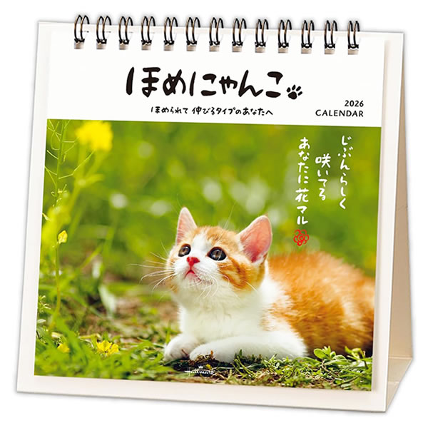 【未開封】Angel Cats-こねこたちからの45枚のメッセージカード- 未開封】Angel Cats-こねこたちからの45枚のメッセージカード- Amazon