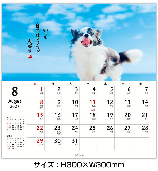 愛犬ちくわ壁掛けカレンダー【オリジナル】 2027年 カレンダー 壁掛け ホールマーク リングカレンダー（大） ほめ