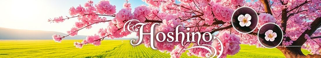 星野 ヘッダー画像