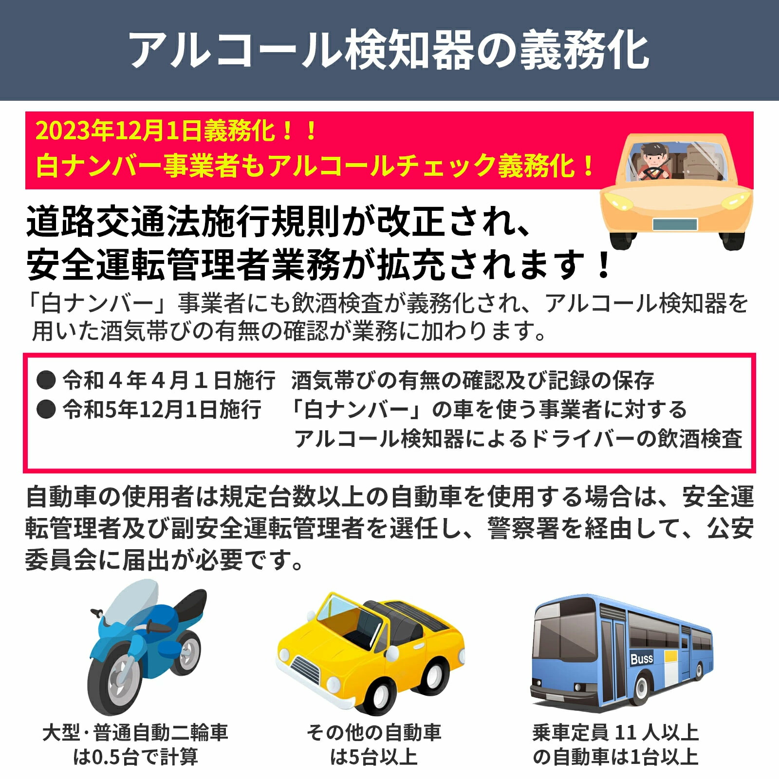 【翌朝の酒残り不安を解消する】2026改良版 ...の詳細画像1