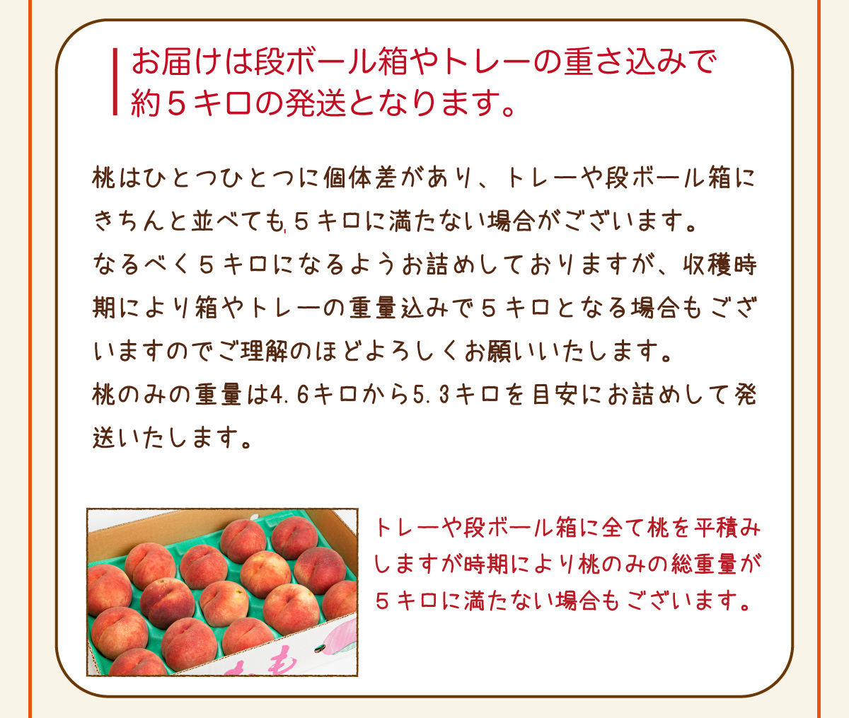 山形県産 黄桃 おまかせ ご家庭用 約５kg 13玉〜22玉 送料無料 黄金桃