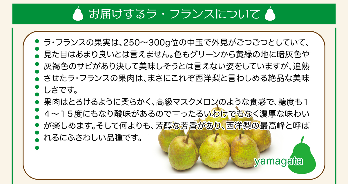 yahoo!プレミアム会員10%OFF】ラ・フランス 訳あり 10kg 送料無料 山形県産 ご家庭用 規格外 らふらんす 西洋梨 洋梨  予冷済み【沖縄および離島発送不可】 :lafrance-10k:ホシノイチバ - 通販 - Yahoo!ショッピング