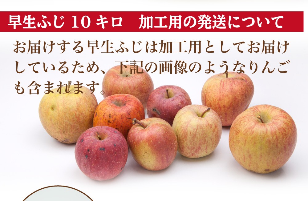 青森県産りんご 葉とらず恋空 ※ジュース用 生食可小さめ 4キロ UpWSHo1MSv