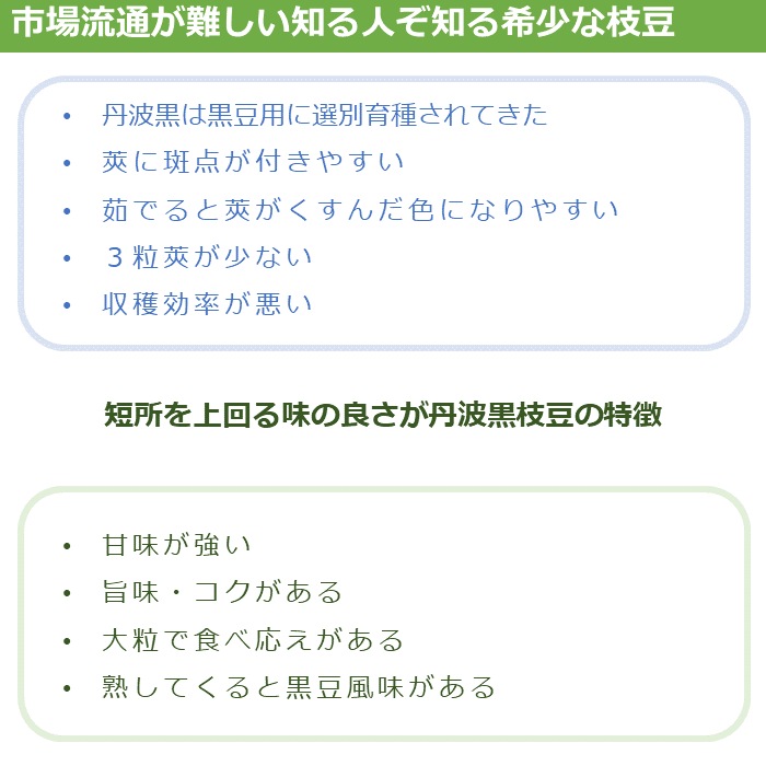 丹波篠山黒枝豆