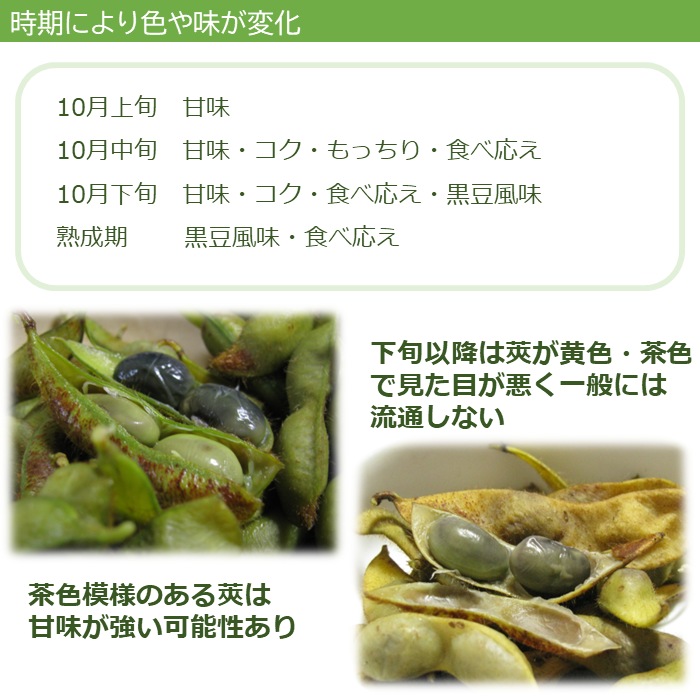 丹波篠山黒枝豆