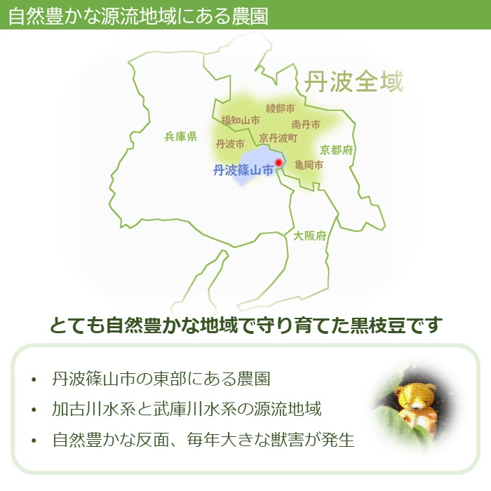 丹波篠山黒枝豆
