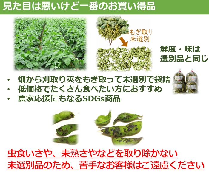 丹波篠山黒枝豆