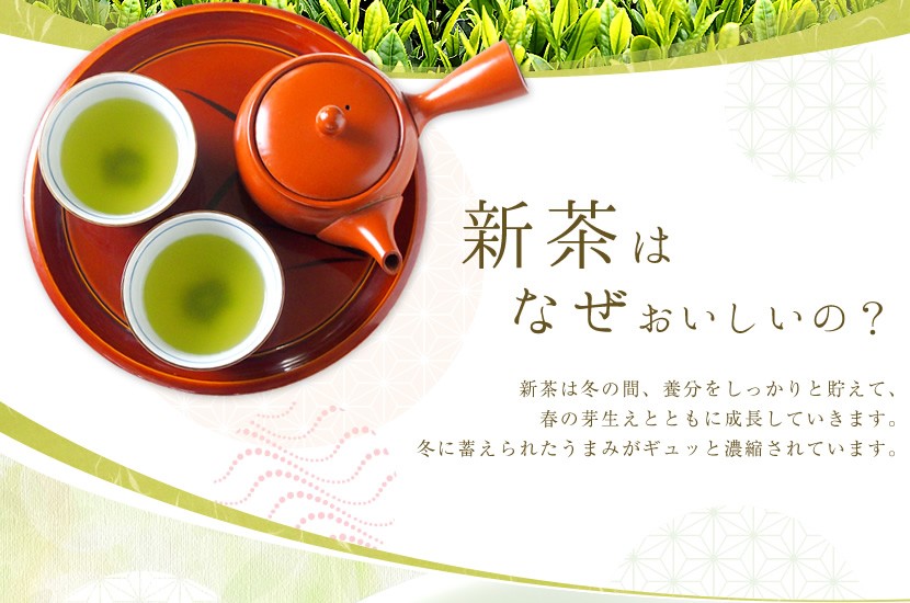 新茶はなぜおいしいの？