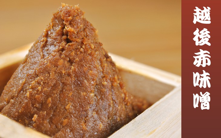越後赤味噌二年もの 800g : 味噌星六 - 通販 - Yahoo!ショッピング