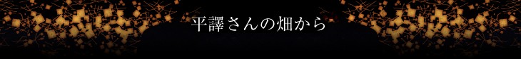 平譯さんの畑から