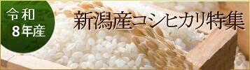 新潟産コシヒカリ特集