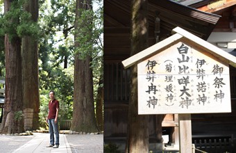 全国送料無料】菊理媛1800ml(1升)17度【菊姫】【長期熟成】【ビン貯蔵