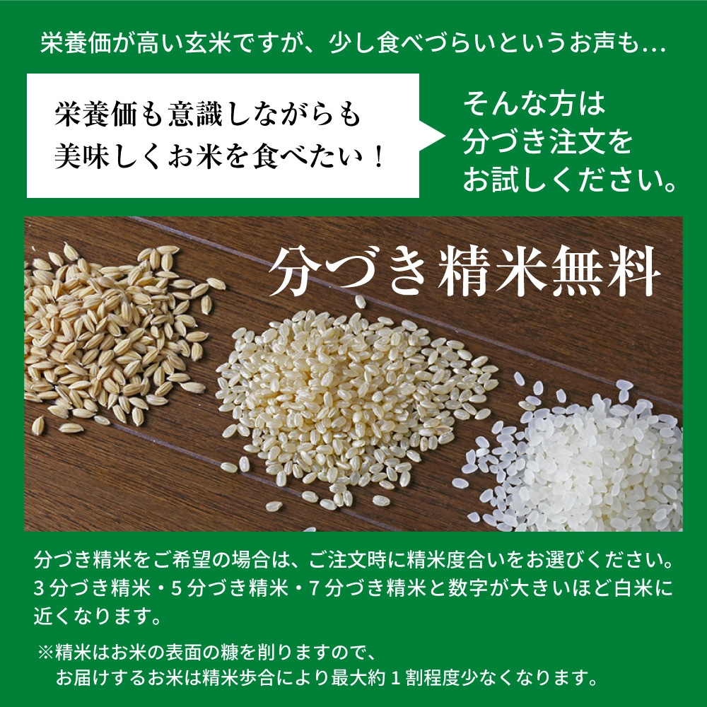 最終 玄米真空パック『早刈り玄米コシヒカリ』令和5年産6kg