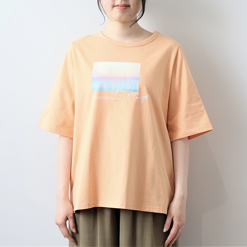 【美品】プリーツプリーズ レディース Tシャツ メッシュ 半袖 サイズ3 MB mint breeze（エムビーミントブリーズ） mb ミントブリーズL〜5L 綿