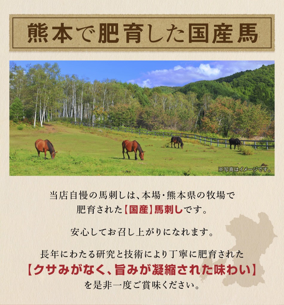 熊本県産 馬刺しセット ギフト