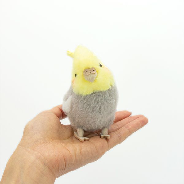 在庫あり りくのなかまたち ことりのね オカメインコ グレー