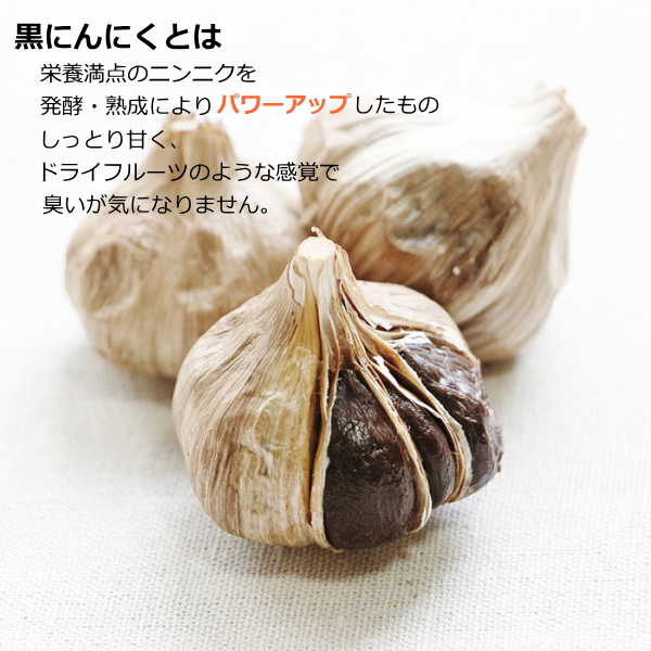 マリン商事 【即納】黒にんにく発酵器DX Ki-00239 黒ニンニク にんにく