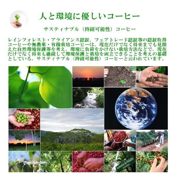 無農薬・有機栽培100％　サステイナブルコーヒー