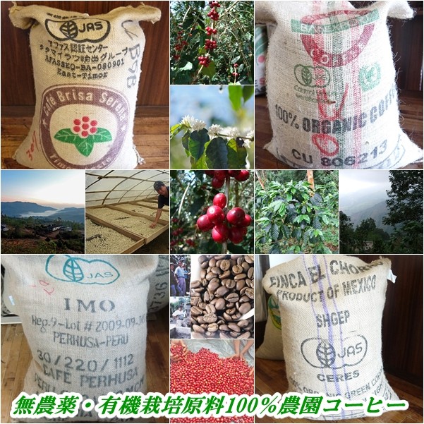 無農薬・有機栽培100% コーヒー農園コーヒー生豆袋
