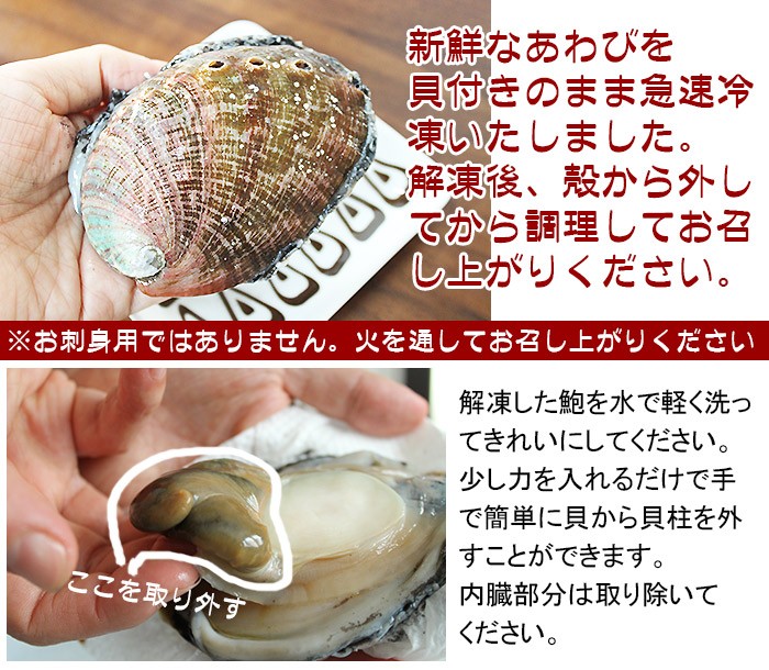 冷凍あわび（加熱用）1個150g前後の大きいサイズ 鮑 アワビ
