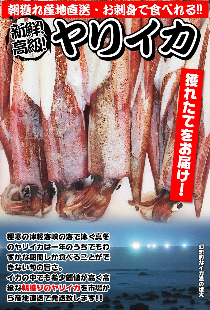 送料無料 津軽海峡産 やりいか 3kg前後 ヤリイカ 烏賊 刺身用国産イカ 大きめサイズ20杯前後 または 小さめサイズ40杯前後 刺身用 生イカ  冷蔵 : yariika-3kg : 活ホタテと海産ギフト 阿部商店 - 通販 - Yahoo!ショッピング