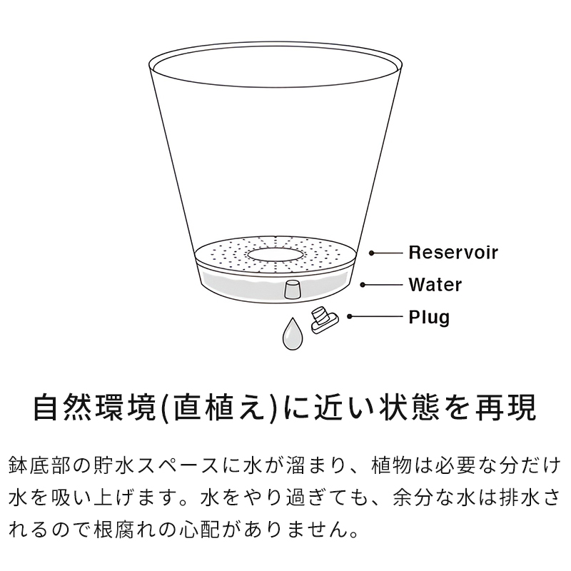 自然環境(直植え)に近い状態を再現