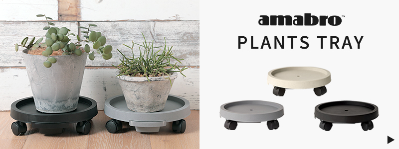 amabro PLANTS TRAY