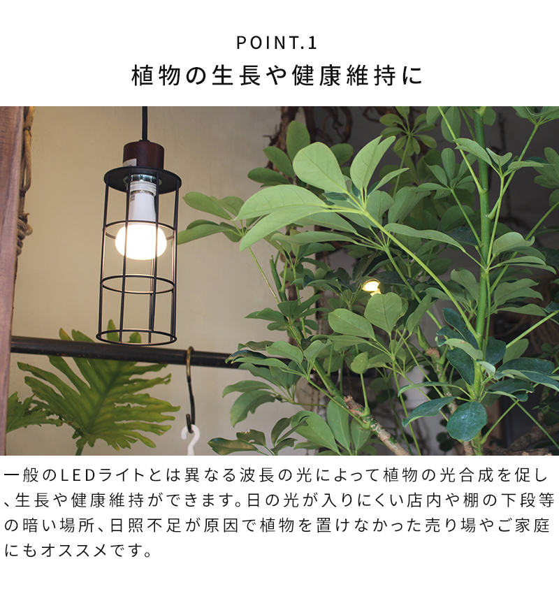 BRID LED電球 60W相当 プランツライト 60 PLANTS LIGHT60 WARM