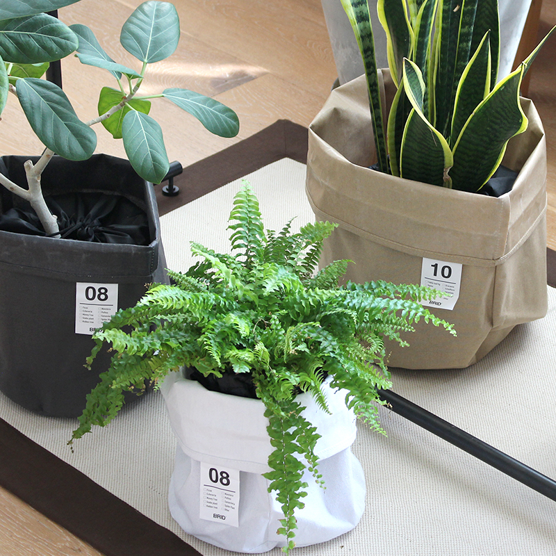 BRID OLIKA PLANTER COVER_10 003387
