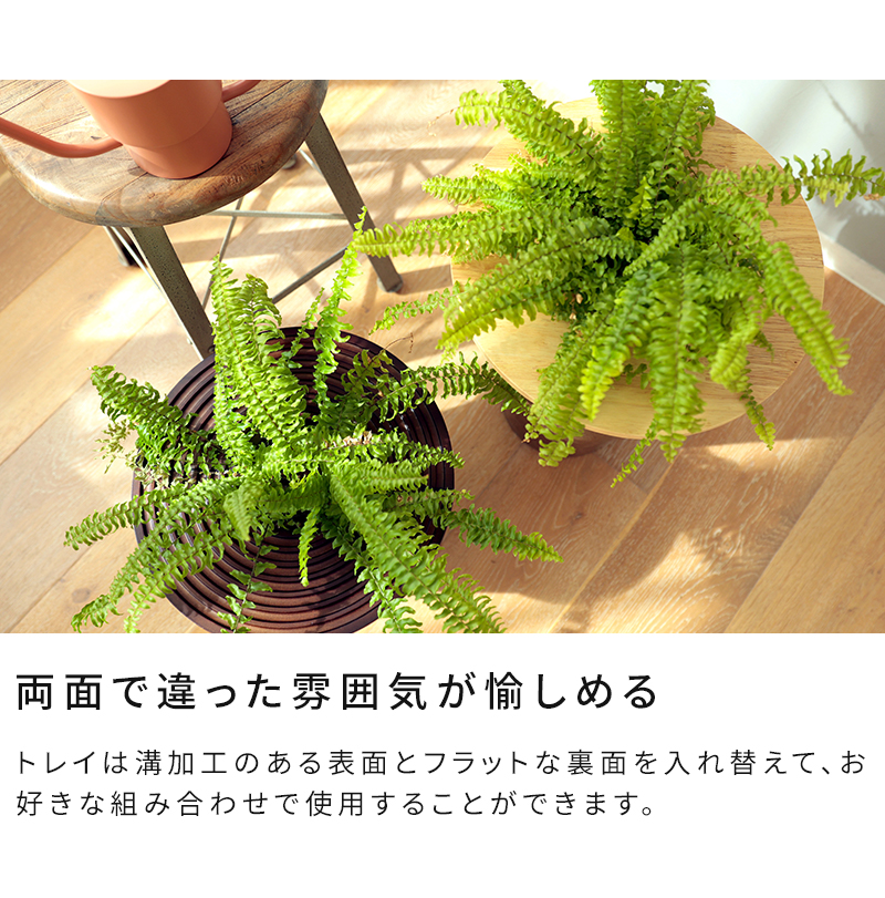 両面で違った雰囲気が楽しめる