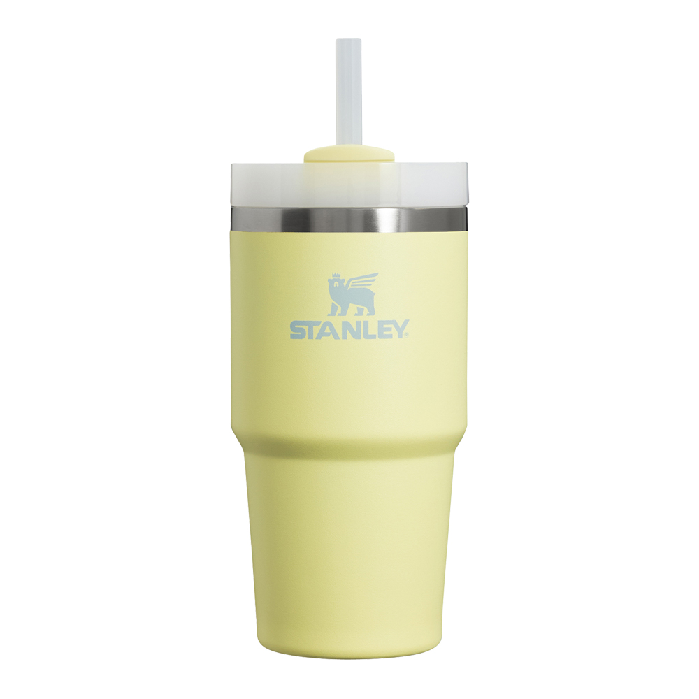 STANLEY 非売品　限定品　ステンレス水筒 STANLEY スタンレー 水筒 H2.0 真空クエンチャー 0.6L 蓋付き