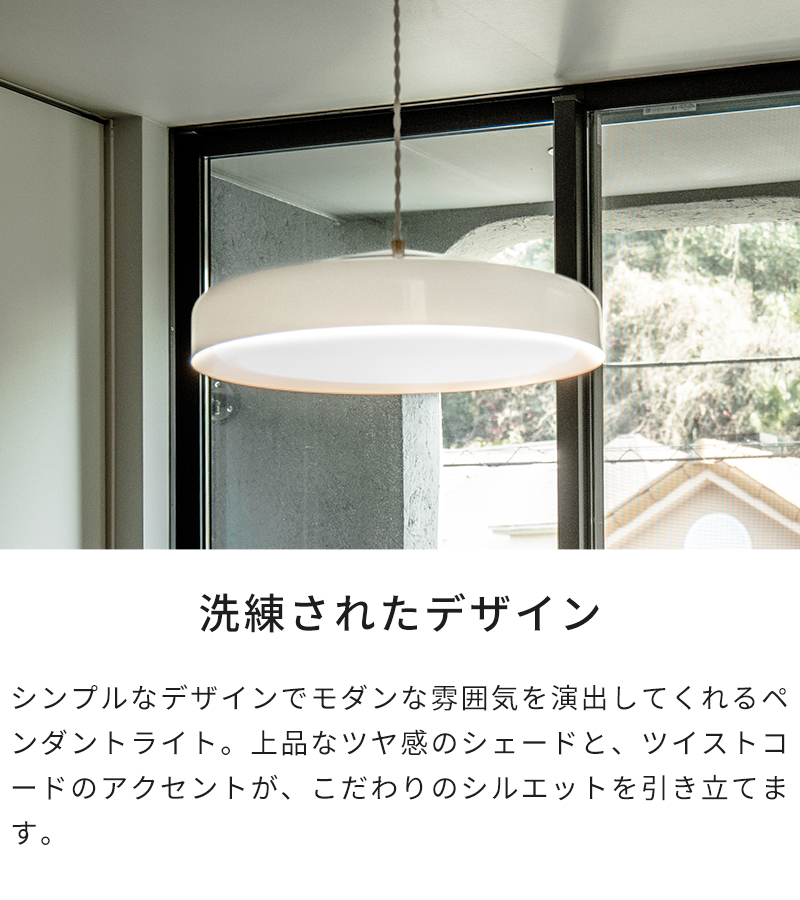 BRID ペンダントライト EON LED PENDANT LIGHT L 003415 特典付