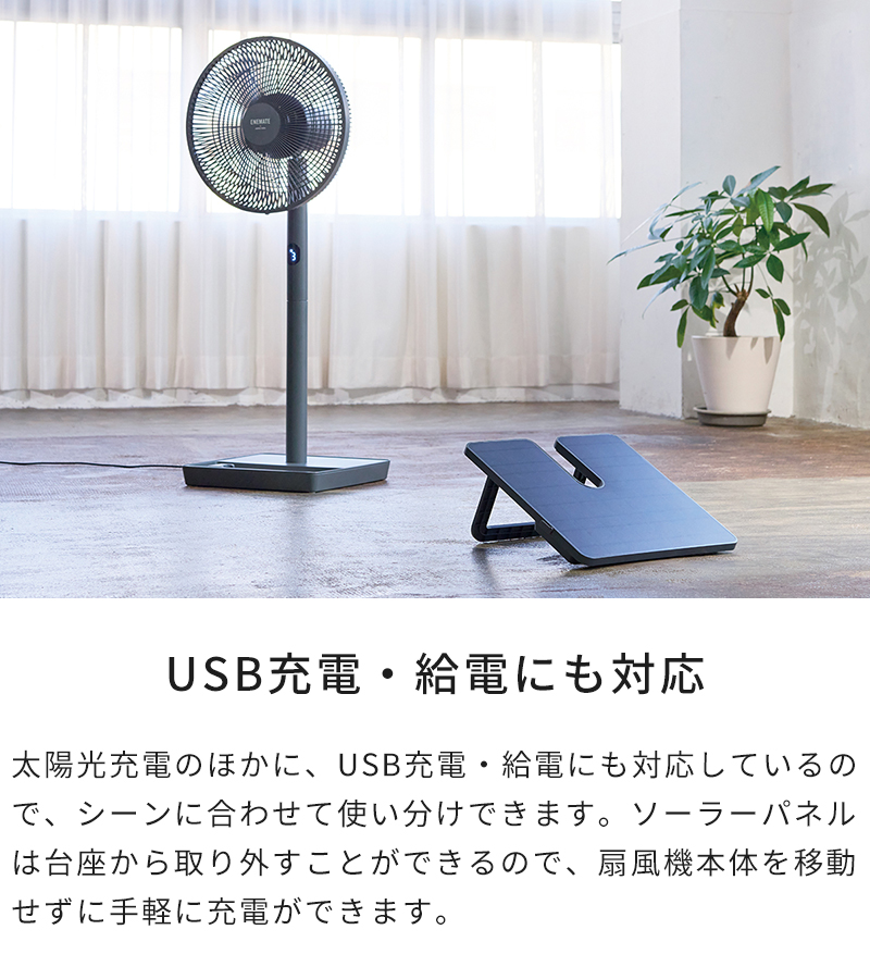 APIX INTERNATIONAL（アピックス インターナショナル） 扇風機 ENEMATE