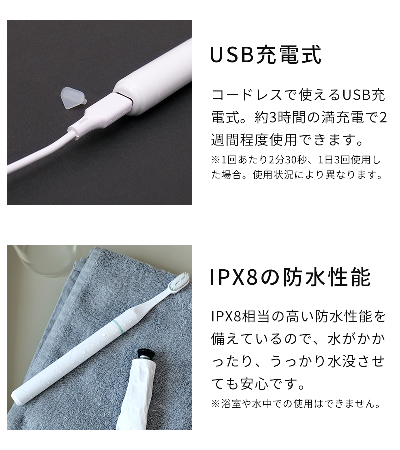 歯ブラシ プラクレス PLAQLES 電子歯ブラシ 充電タイプ TROMATZ-S-P
