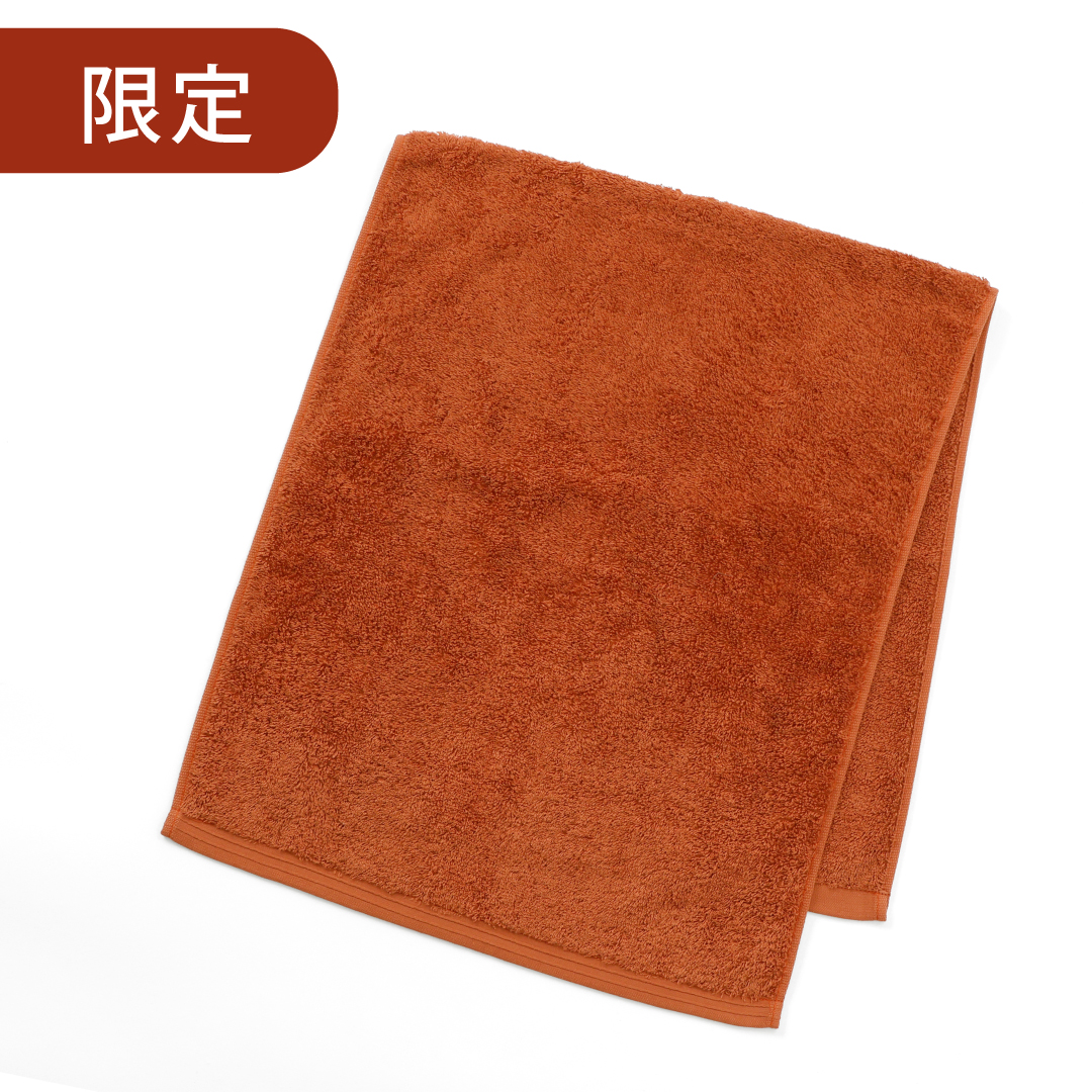 Hotman（ホットマン） フェイスタオル 38×86cm 1秒タオル ホットマン