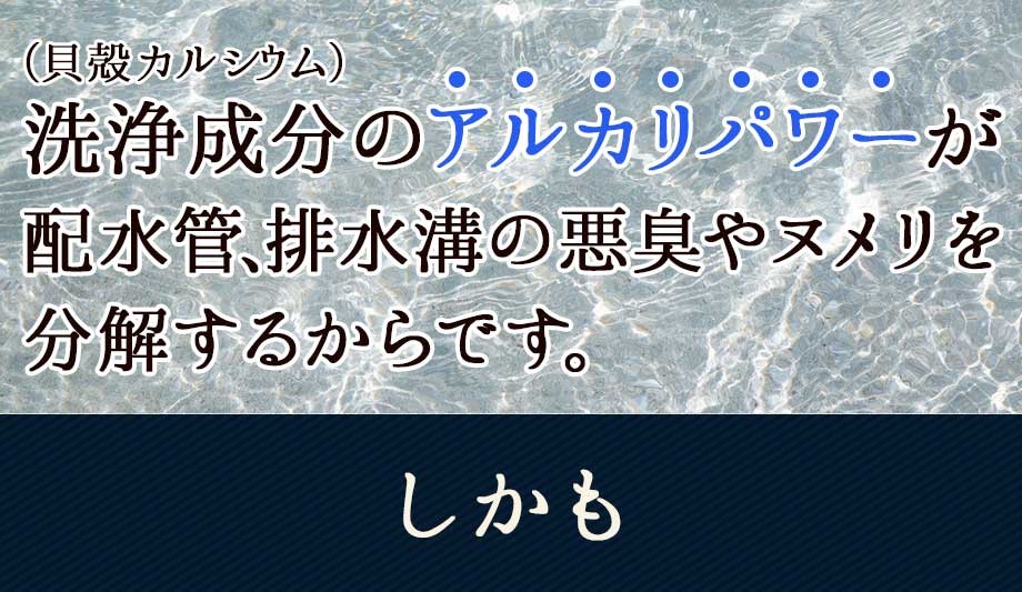 洗濯洗剤 無添加 合成界面活性剤不使用 粉 粉末洗剤 アトピー